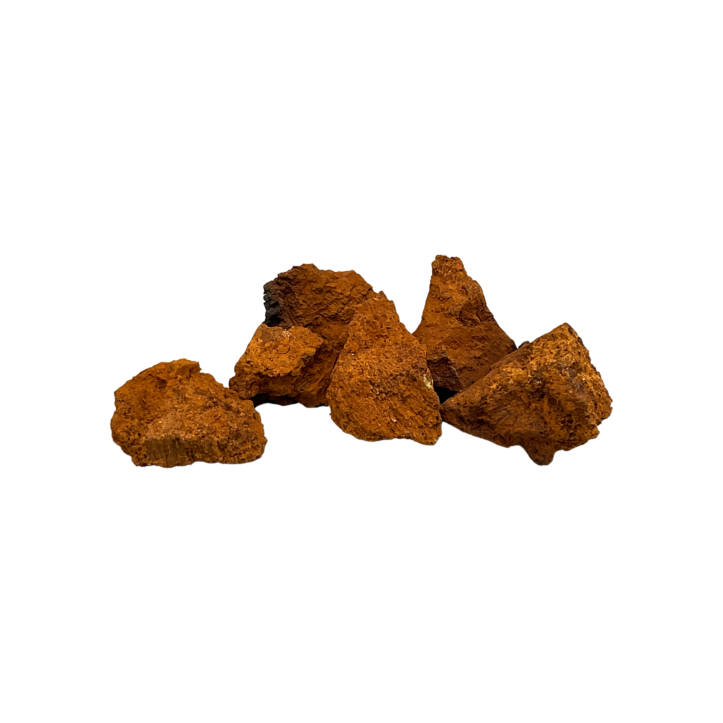 Chaga Pilz | Tee | Bio-Qualität | Wildsammlung