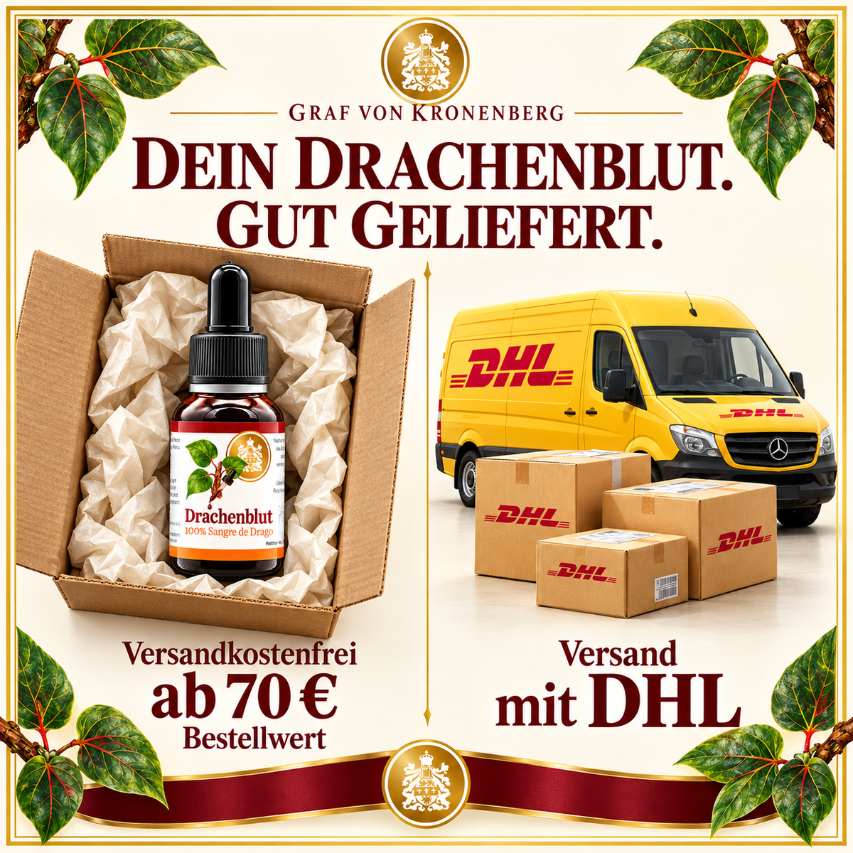 Drachenblut-Pipettenflasche im Versandkarton neben DHL-Fahrzeug und Paketen; versandkostenfrei ab 70 Euro Bestellwert.
