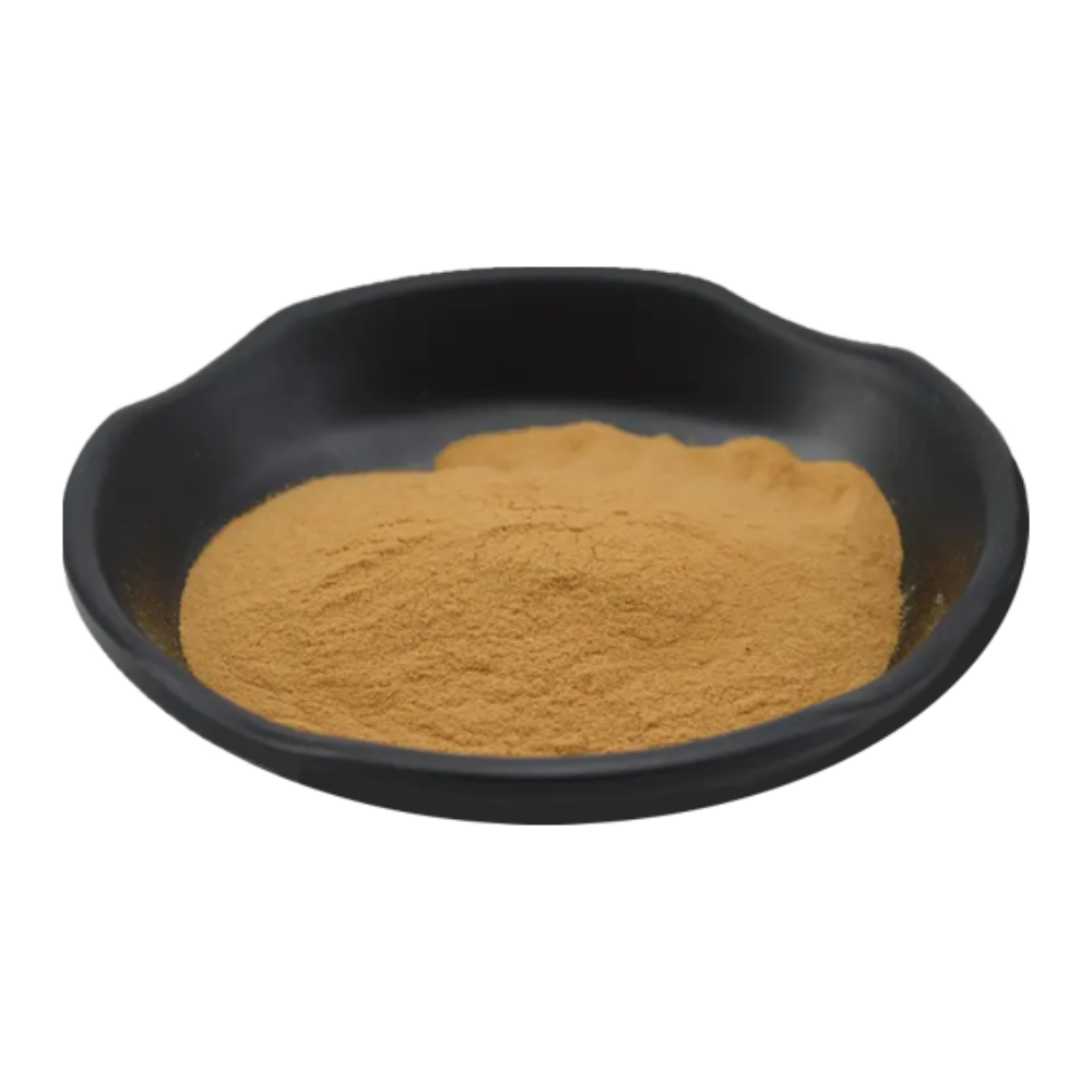 Hongos medicinales | Extracto de complejo de hongos 6 veces