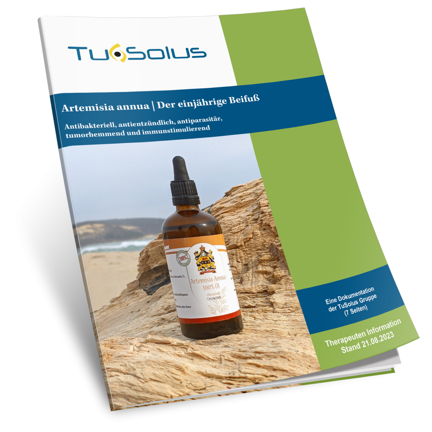 Artemisia annua / Einjähriger Beifuss - Therapeuteninfo