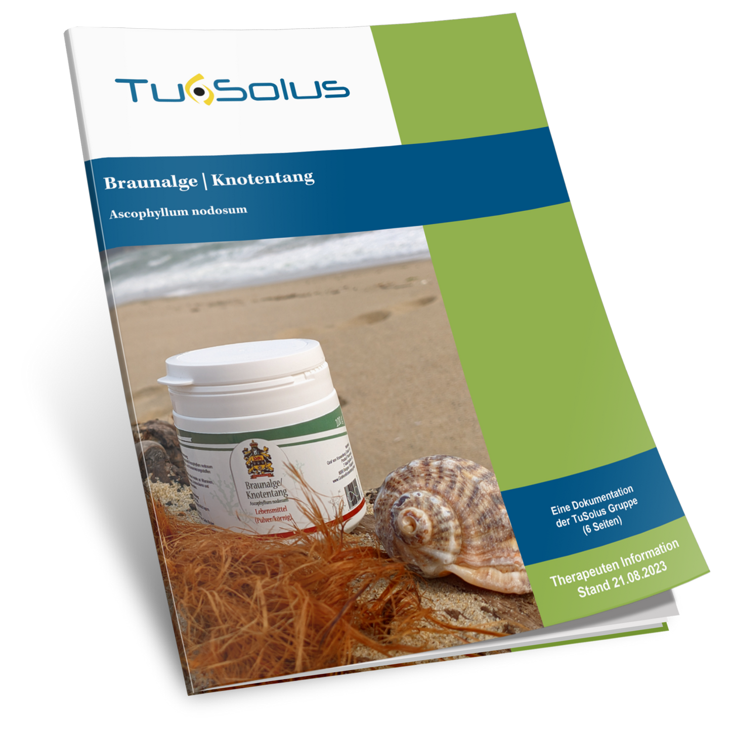 Algas pardas / fucus nudoso - información para terapeutas