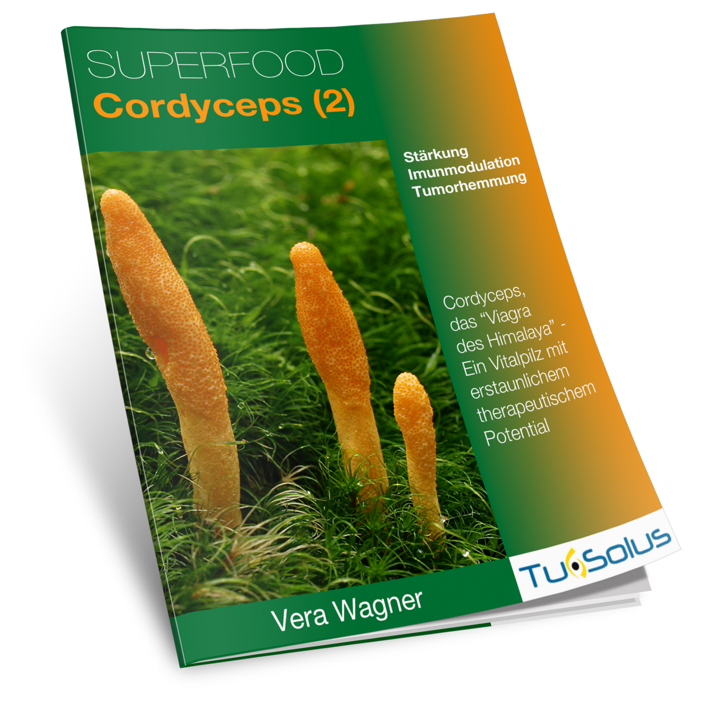 Cordyceps, superalimento: información para terapeutas