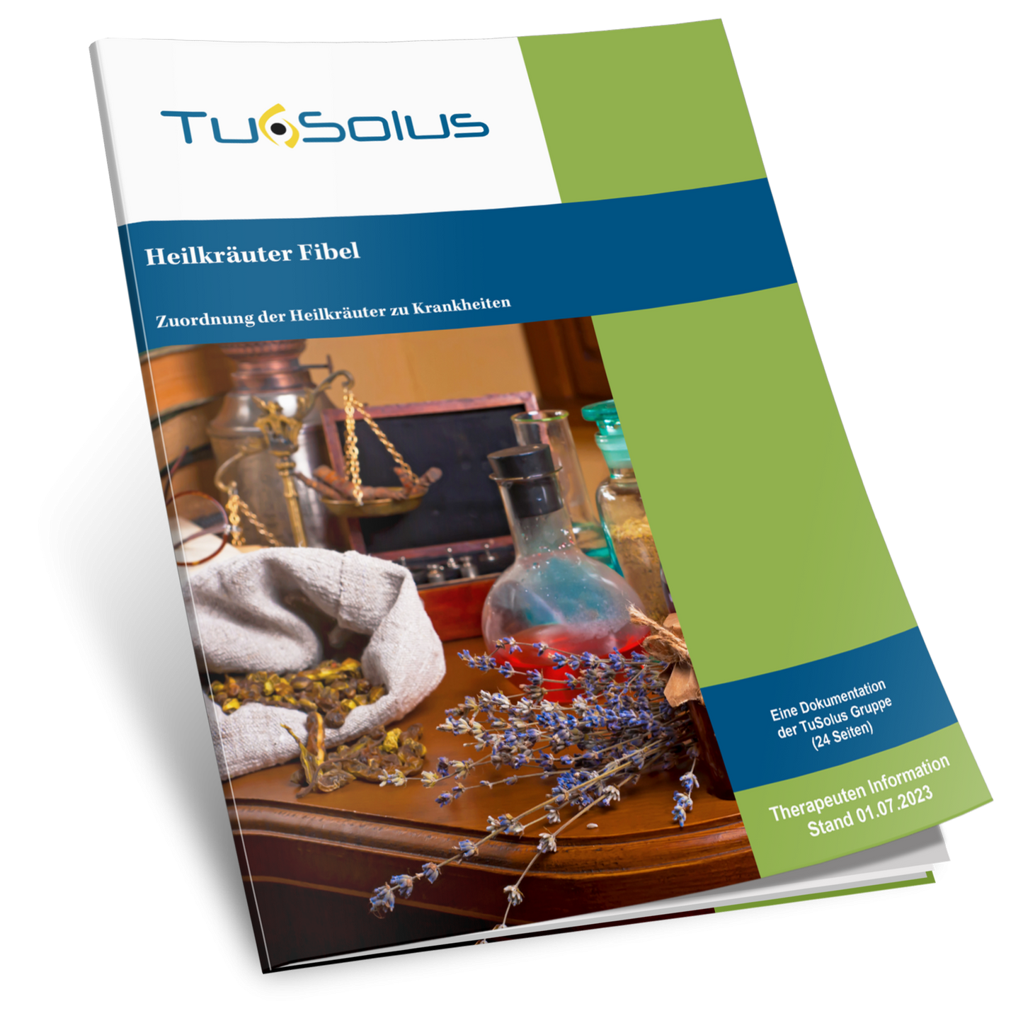 Zuordnung der Heilkräuter zu Krankheiten - Therapeuteninfo