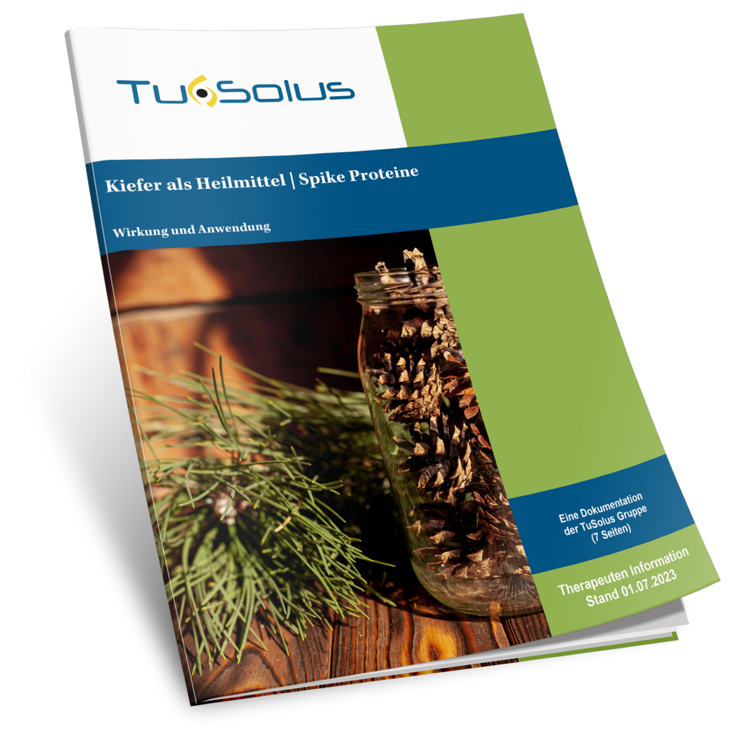 La mandíbula como remedio: información para terapeutas