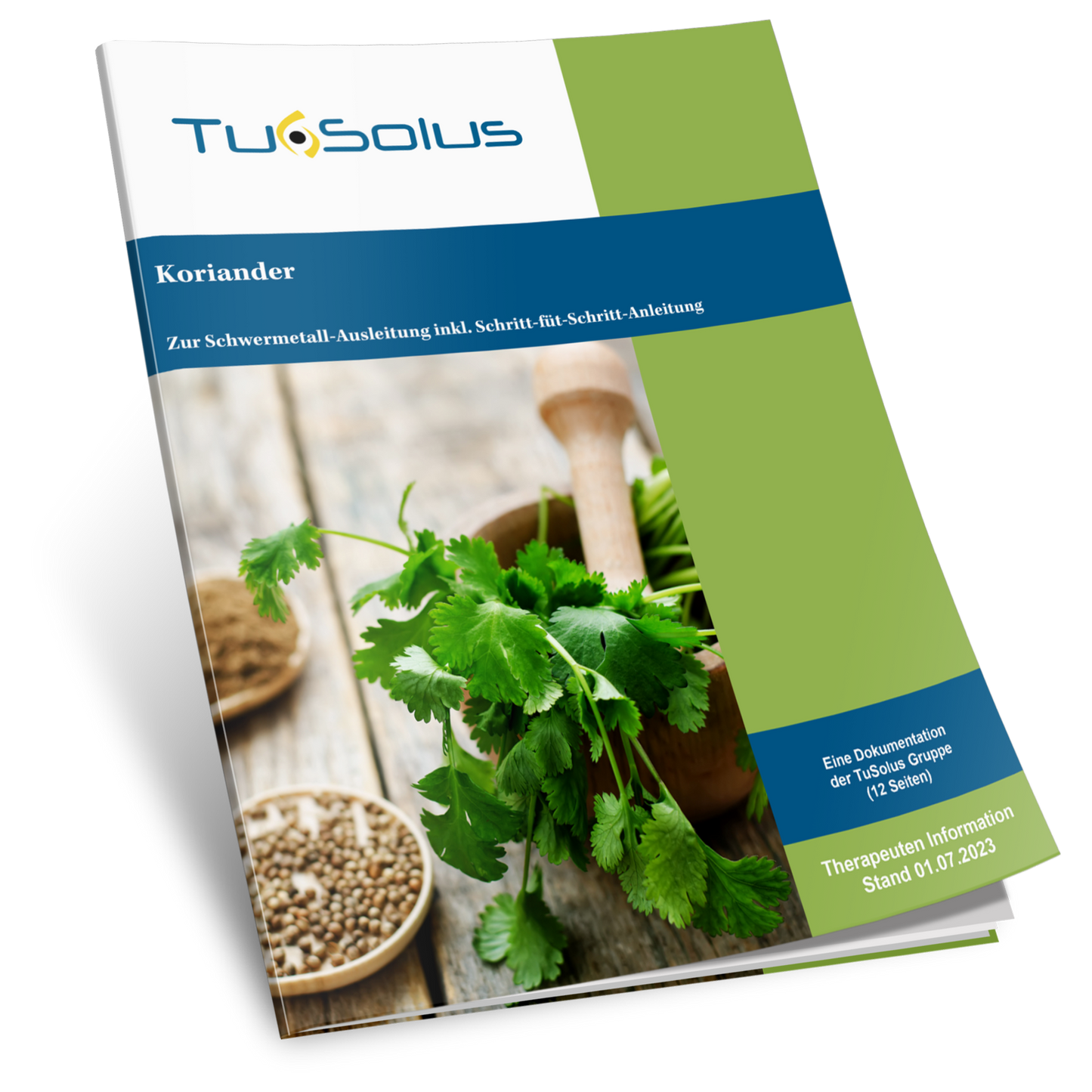 Cilantro - Información para terapeutas