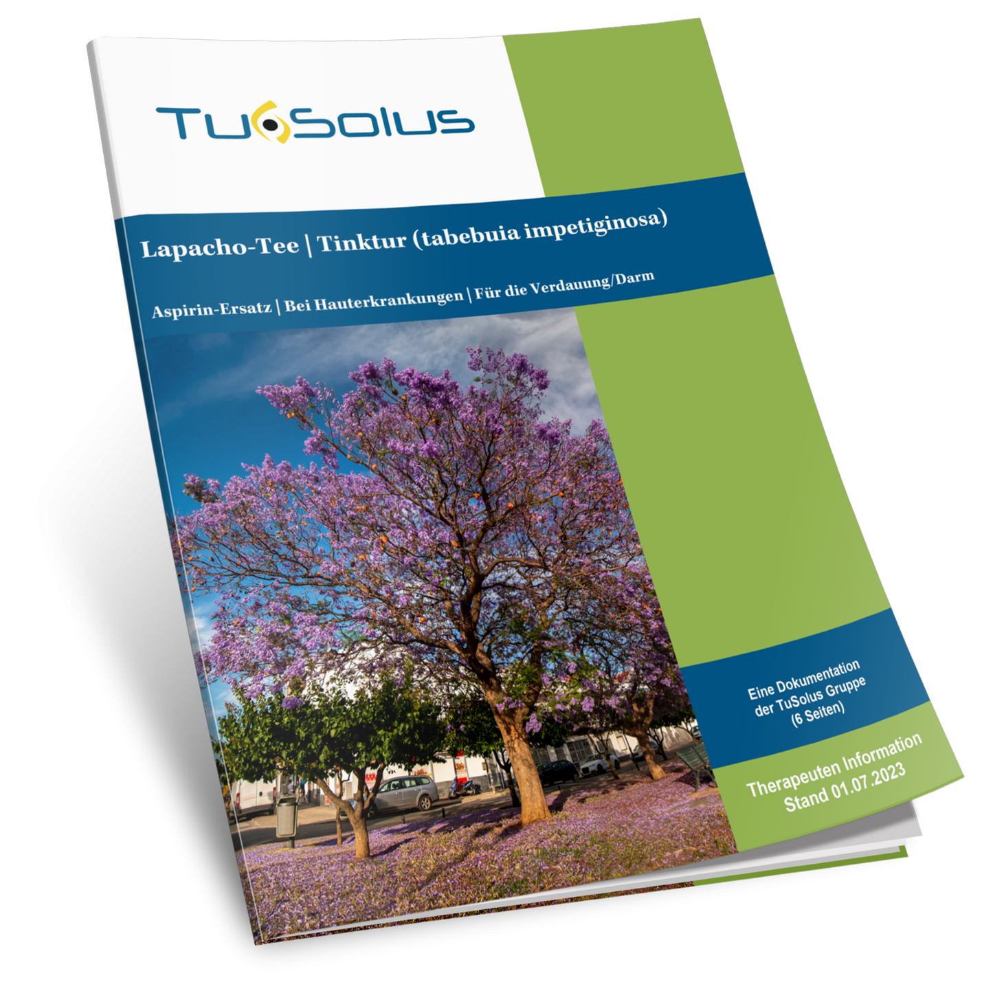 Lapacho Tee/Tinktur - Therapeuteninfo