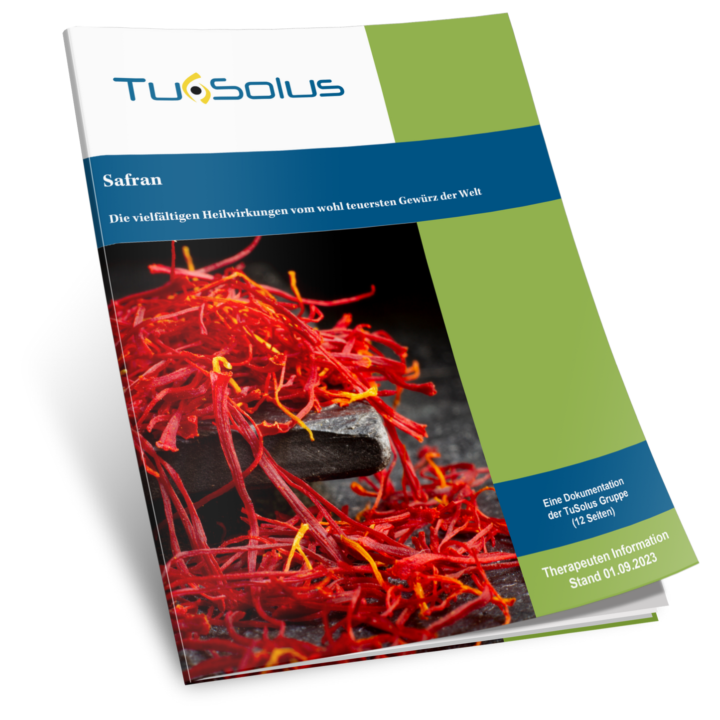 Azafrán: El remedio especial - Información para terapeutas