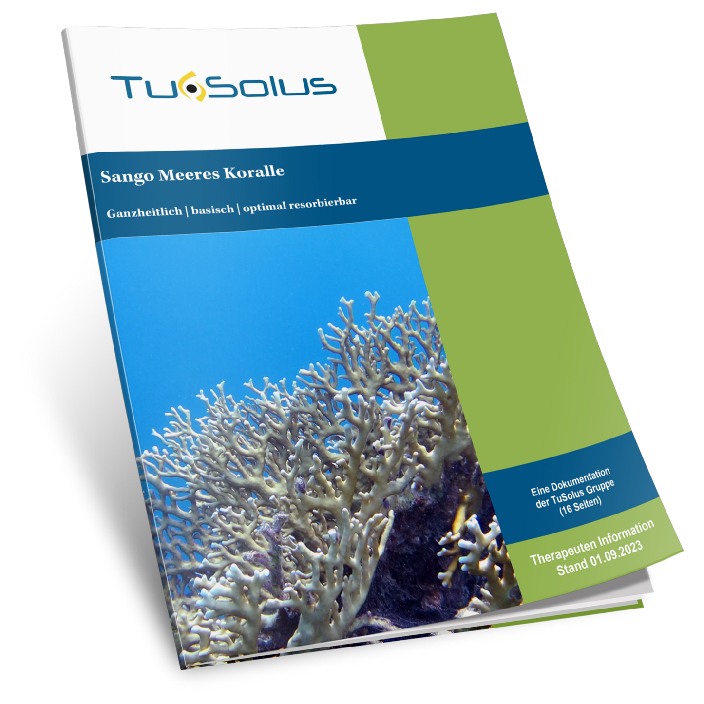 Coral marino Sango de Okinawa - Información para terapeutas