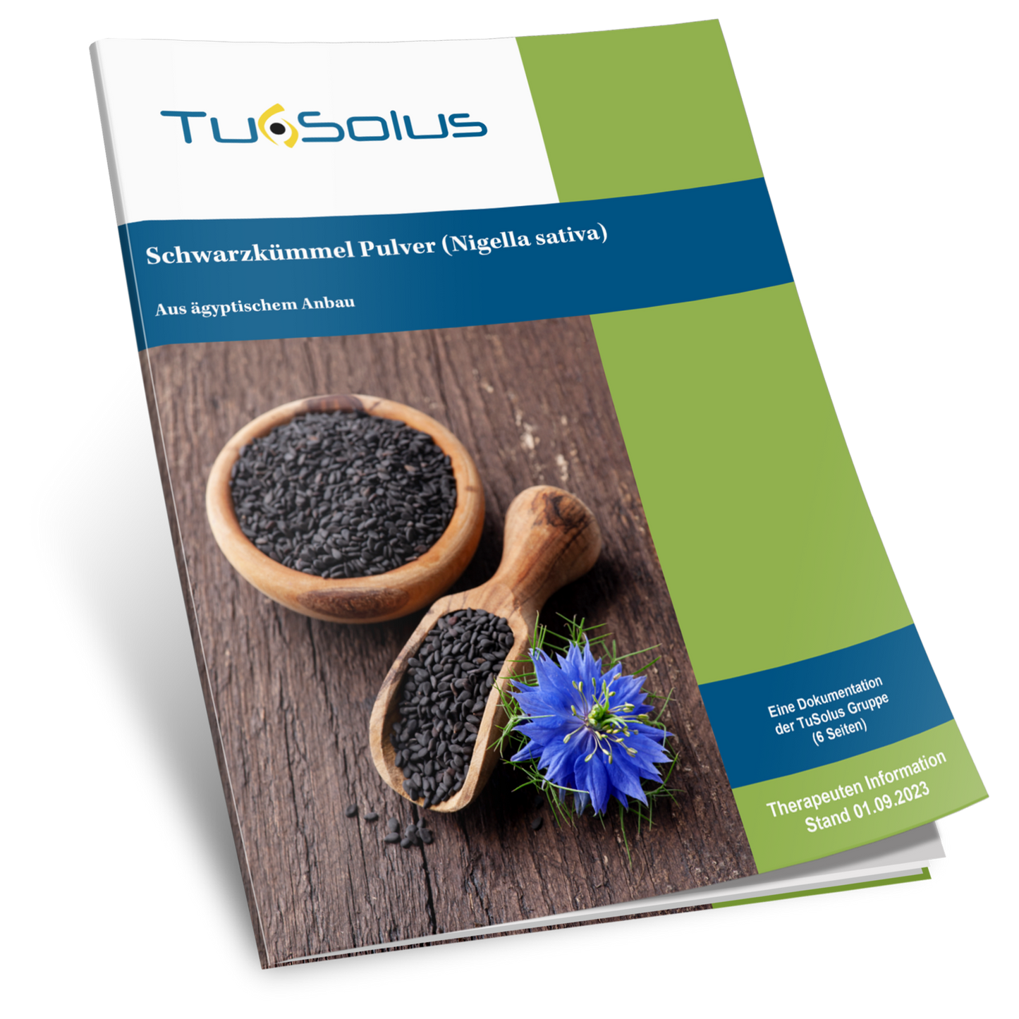 Comino negro en polvo (Nigella sativa) - Información para terapeutas