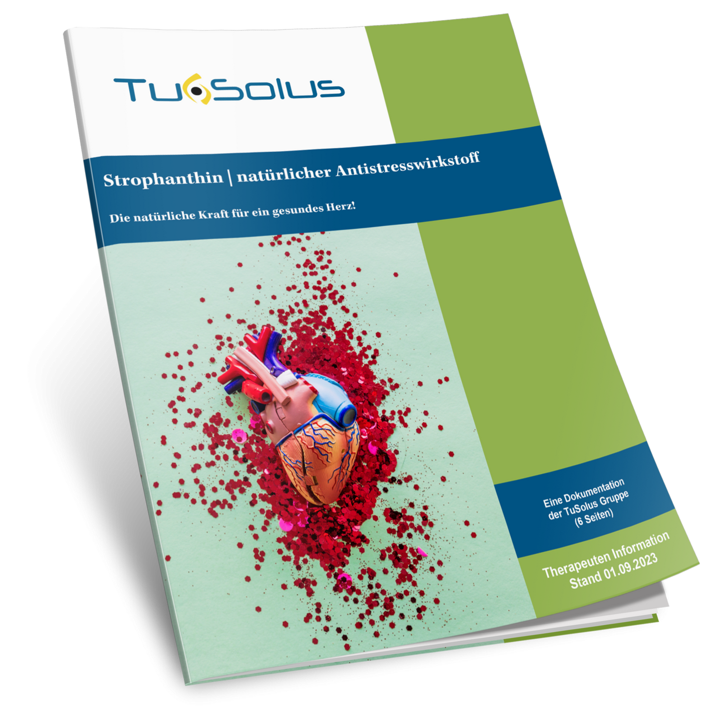 Estrofantina - Información para terapeutas