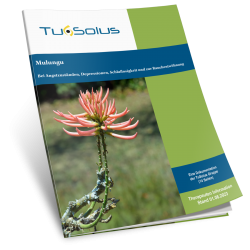 Mulungu - Therapeuteninfo (14 Seiten)