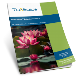 Lotus Blüte - Therapeuteninfo
