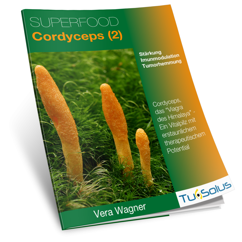 Superfood Cordyceps