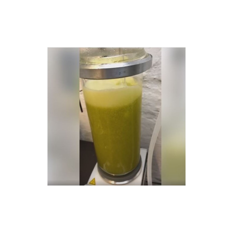 Compre Aceite de cártamo ozonizado de alta calidad por 14,00 € ahora