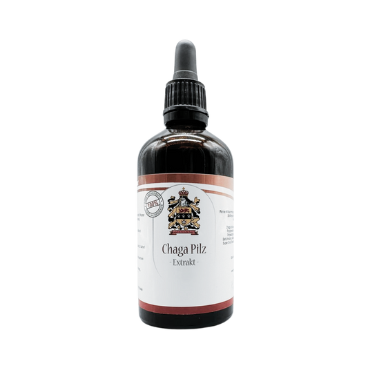 Hongo Chaga silvestre | Extracción por ultrasonido