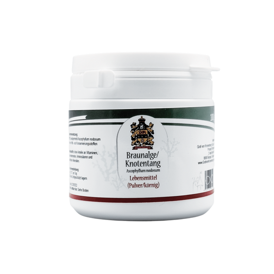 Algas pardas / fucus nudoso – Ascophyllum nodosum