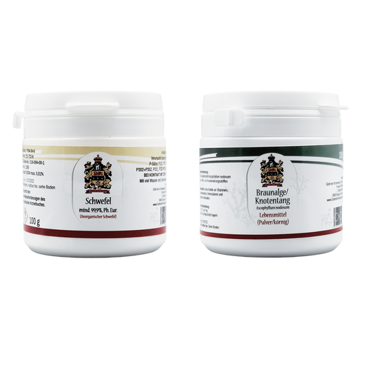 Cura con azufre según el Dr. Probst | Limpieza intestinal