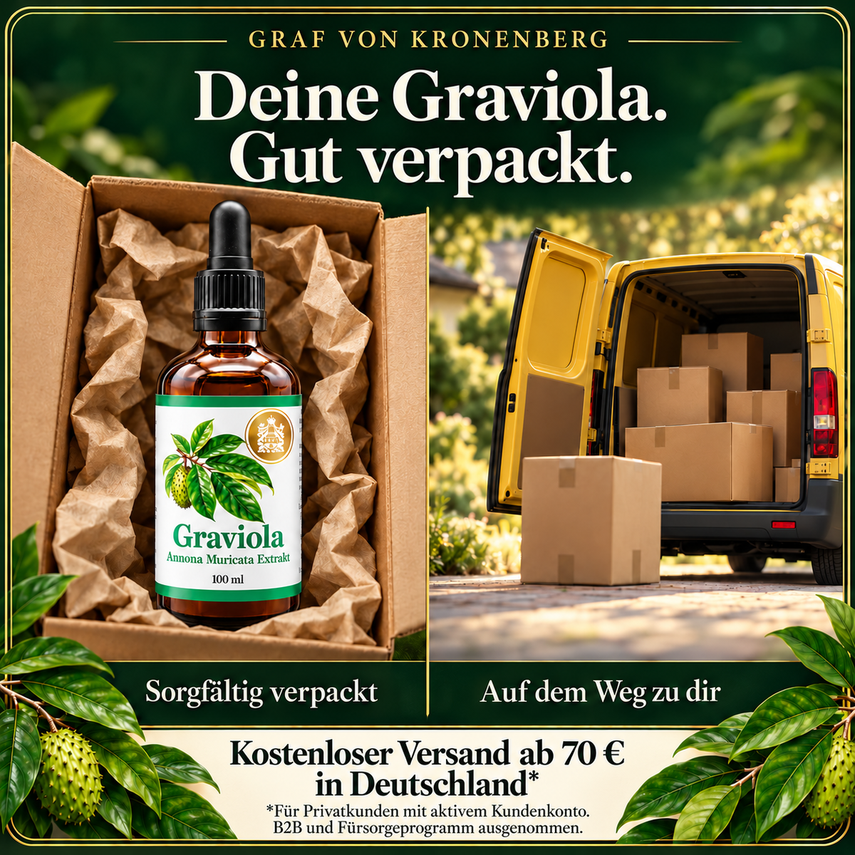 Graviola Extrakt im gepolsterten Versandkarton neben einem gelben Lieferwagen und Paketen; Hinweis auf kostenlosen Versand ab 70 Euro in Deutschland für Privatkunden mit aktivem Kundenkonto, ausgenommen B2B und Fürsorgeprogramm.
