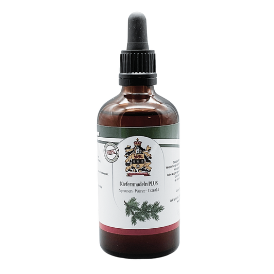 Agujas y brotes de pino | Extracción ultrasónica (100 ml)