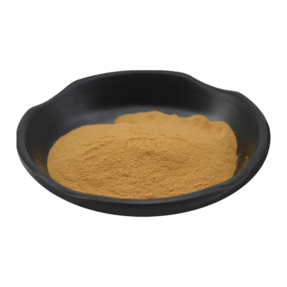 Hongos medicinales | Extracto de complejo de hongos 6 veces