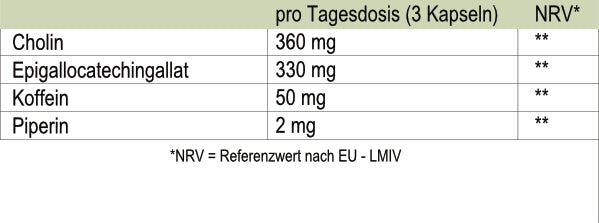 Fórmula pura | Metabolismo | 90 cápsulas