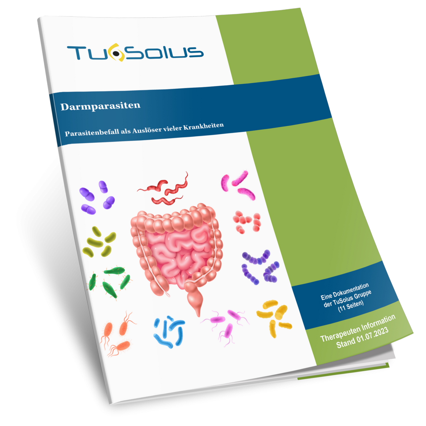 Parásitos intestinales - información para terapeutas