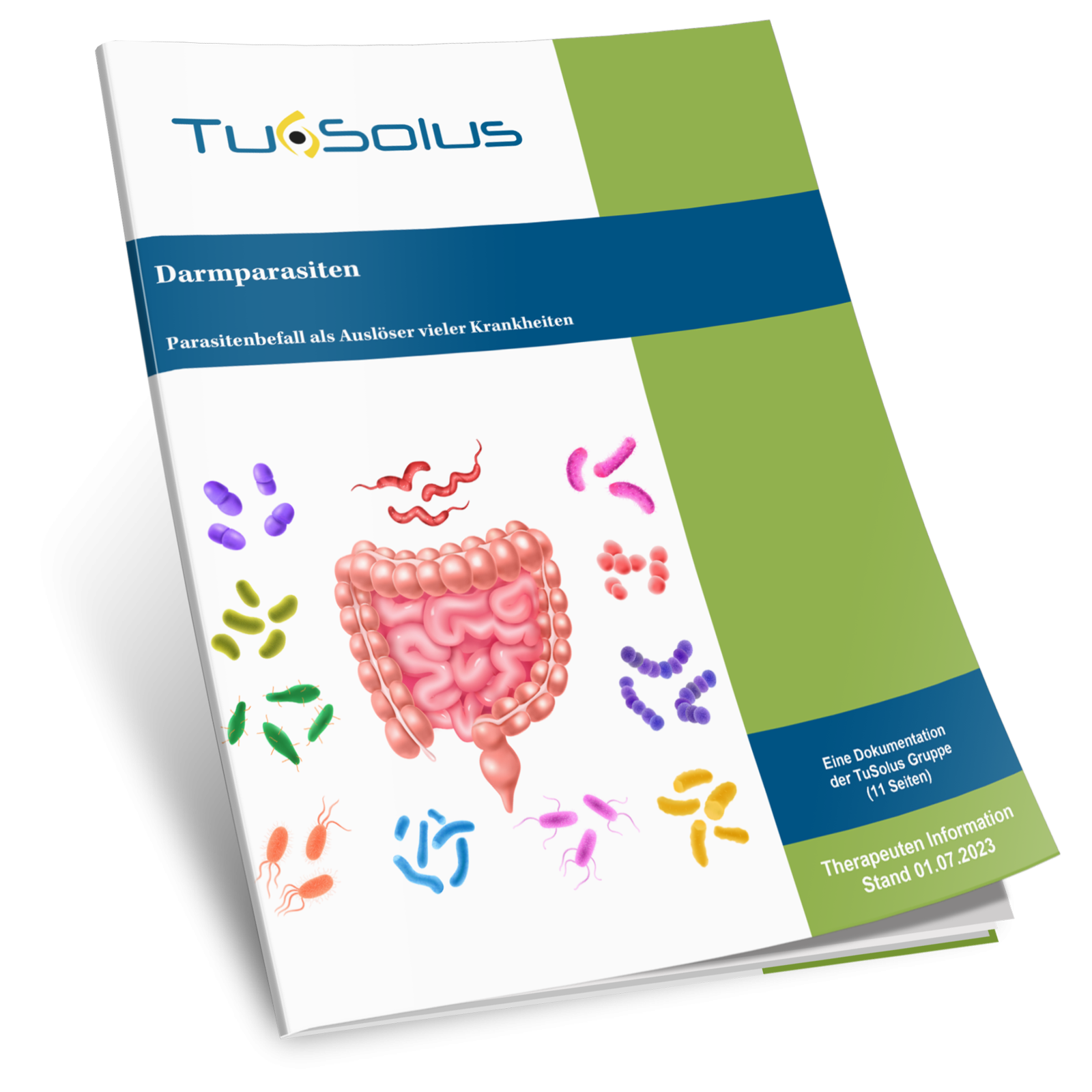 Parásitos intestinales - información para terapeutas