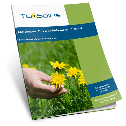 Diente de león - Información para terapeutas