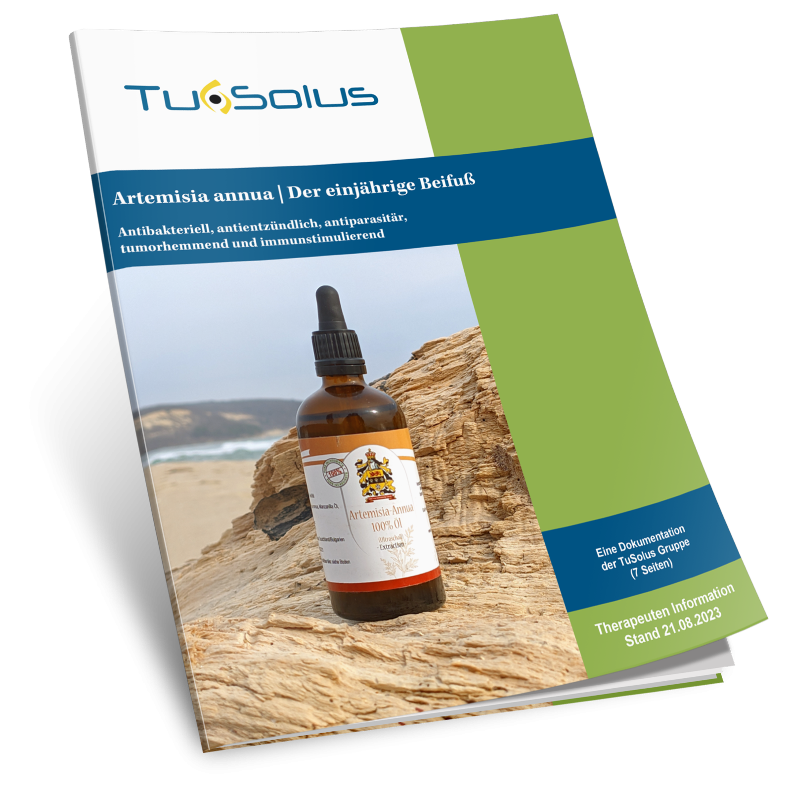 Artemisia annua / Artemisia anual - Información para terapeutas