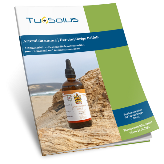 Artemisia annua / Artemisia anual - Información para terapeutas