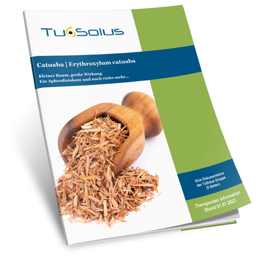 Té/Tintura de Catuaba - Información para terapeutas