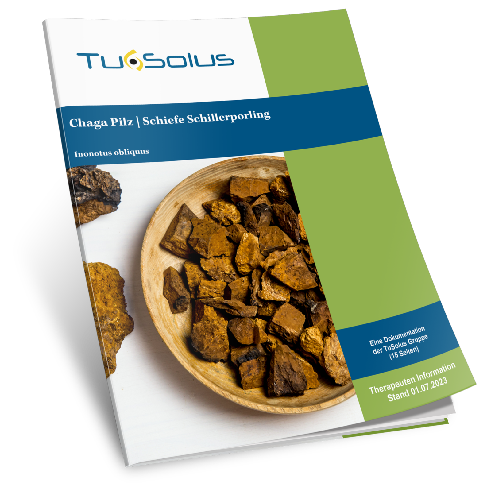 Hongo Chaga - Información para terapeutas