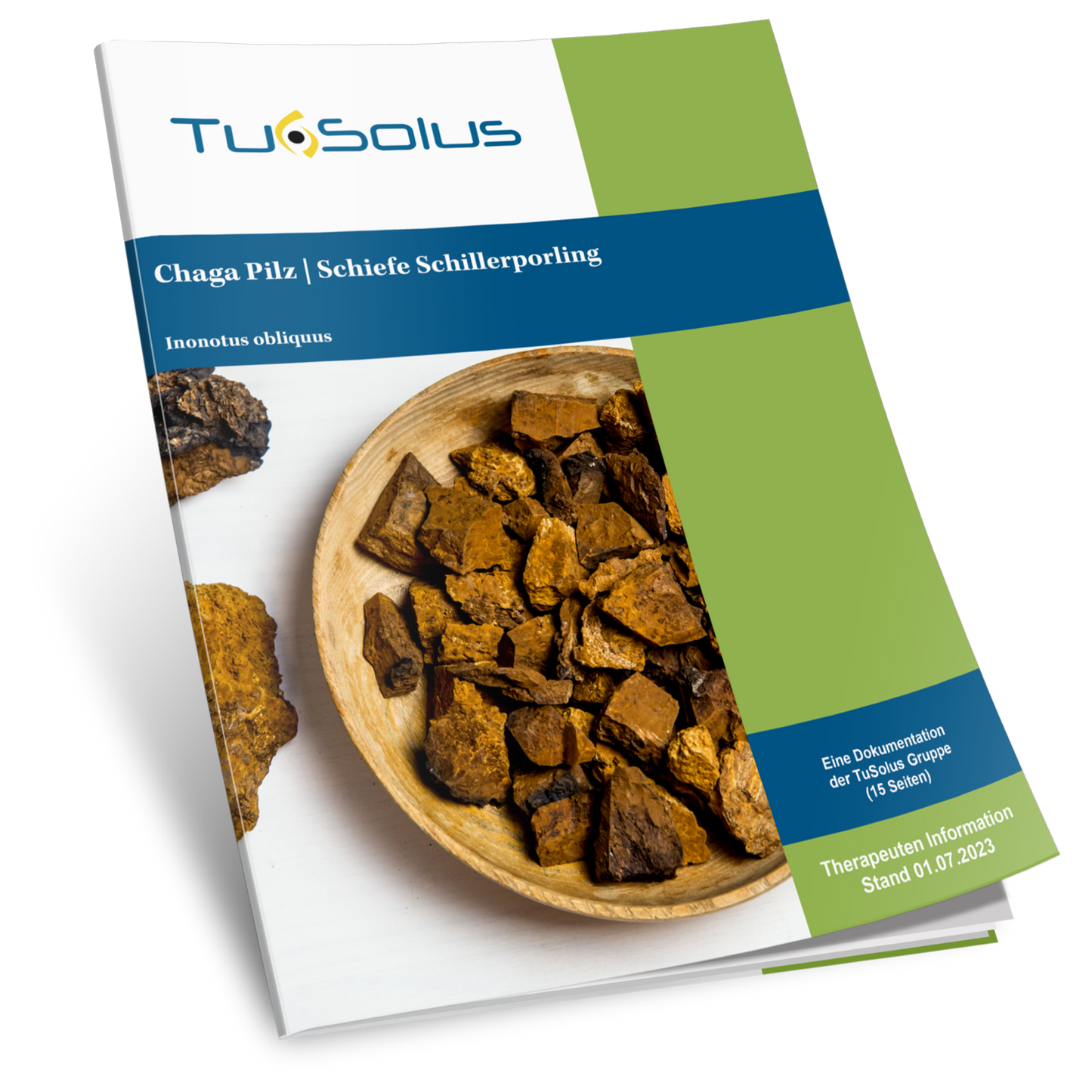 Hongo Chaga - Información para terapeutas