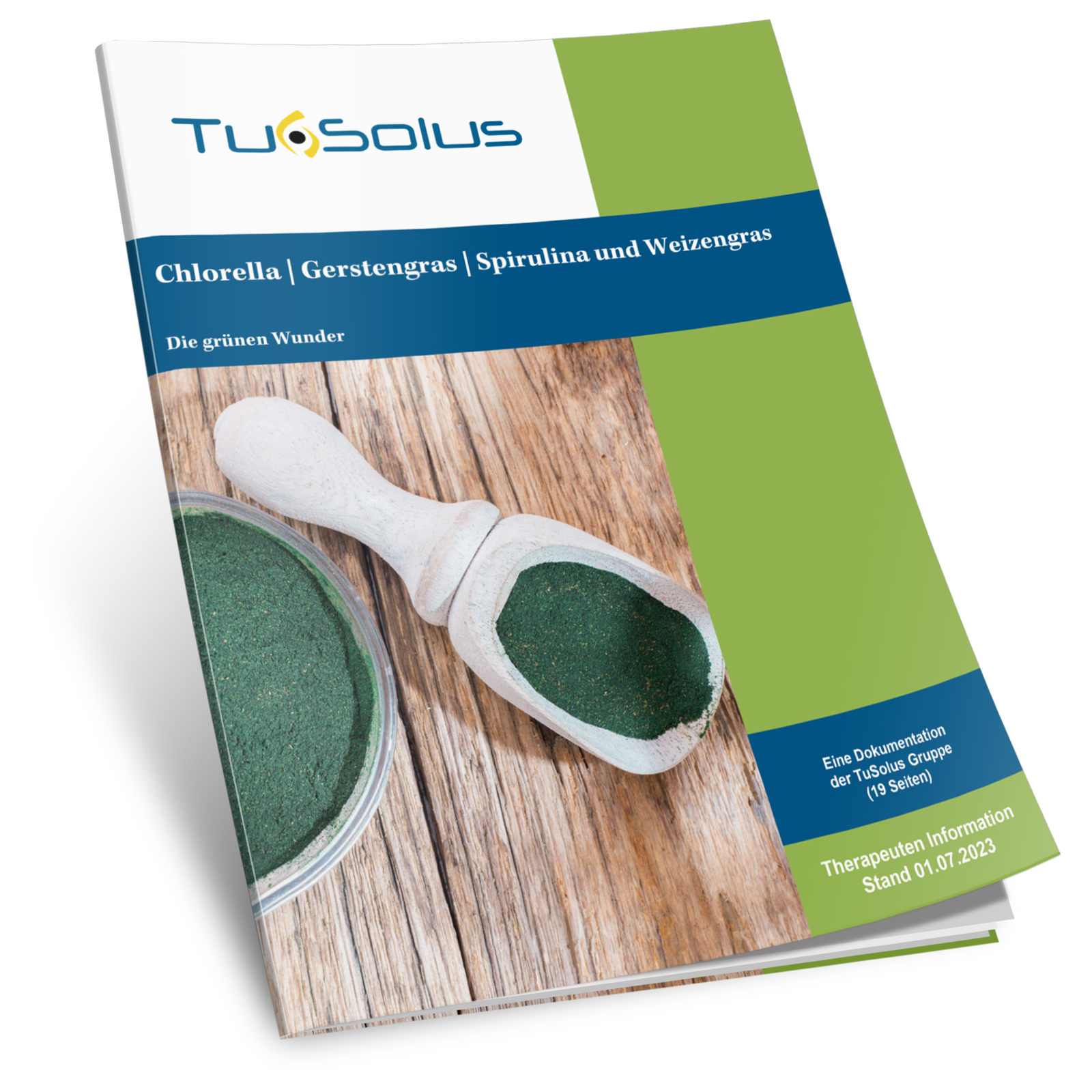 Información para terapeutas sobre clorela, hierba de cebada, espirulina y hierba de trigo.