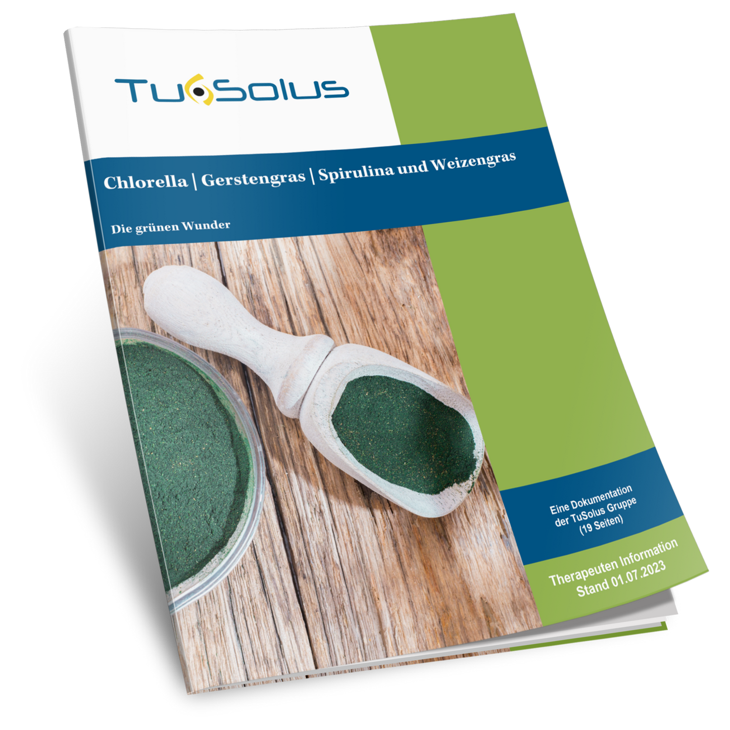 Información para terapeutas sobre clorela, hierba de cebada, espirulina y hierba de trigo.