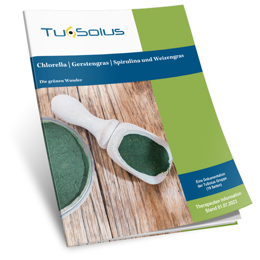 Información para terapeutas sobre clorela, hierba de cebada, espirulina y hierba de trigo.