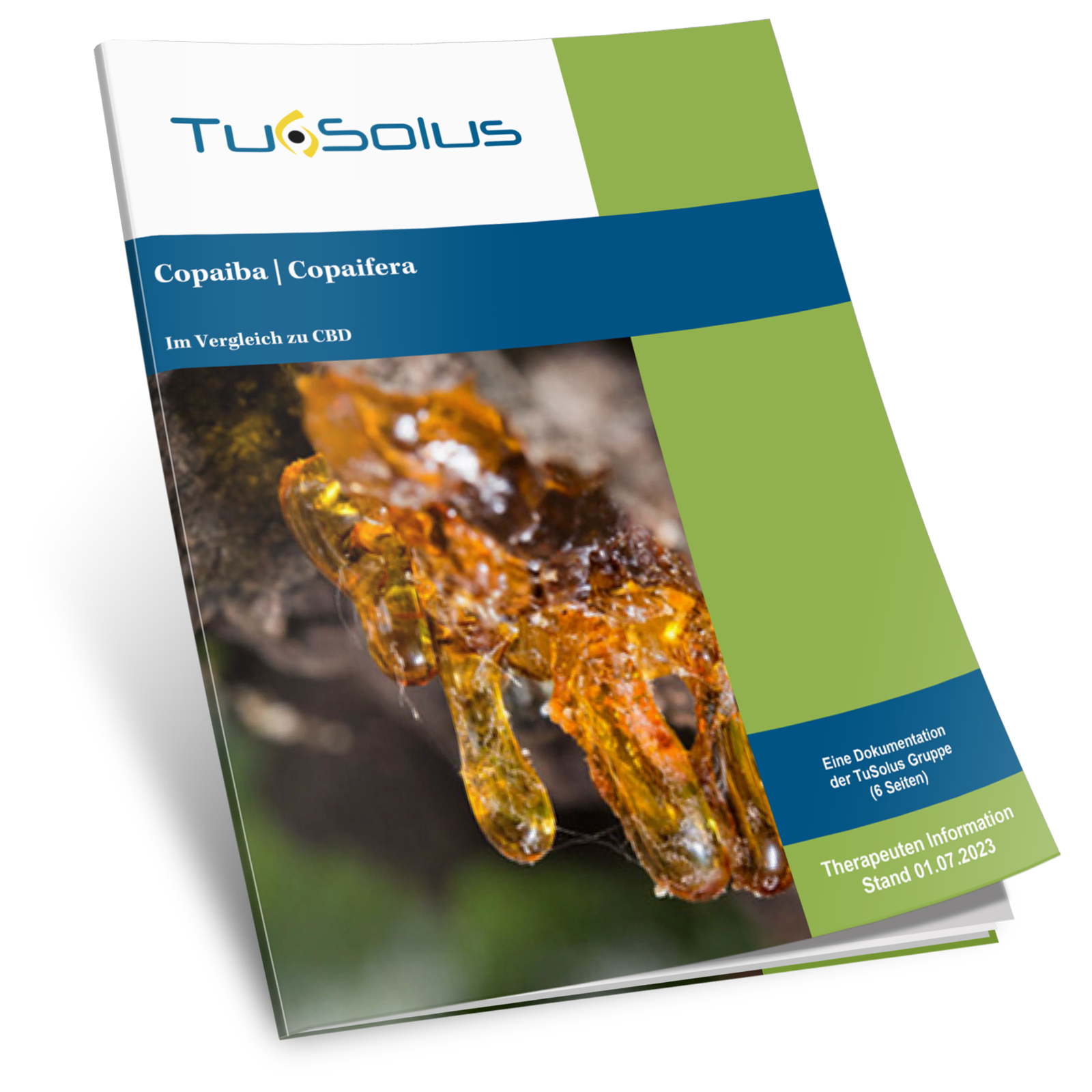 Copaiba / Copaifera - información terapeuta