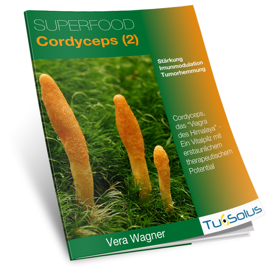 Cordyceps, superalimento: información para terapeutas