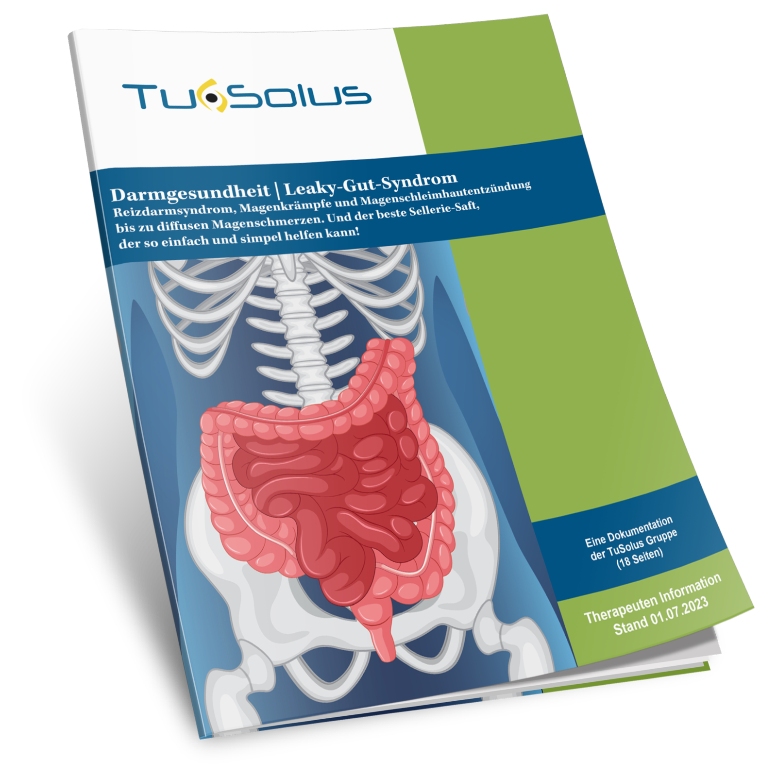 Salud intestinal - Información para terapeutas