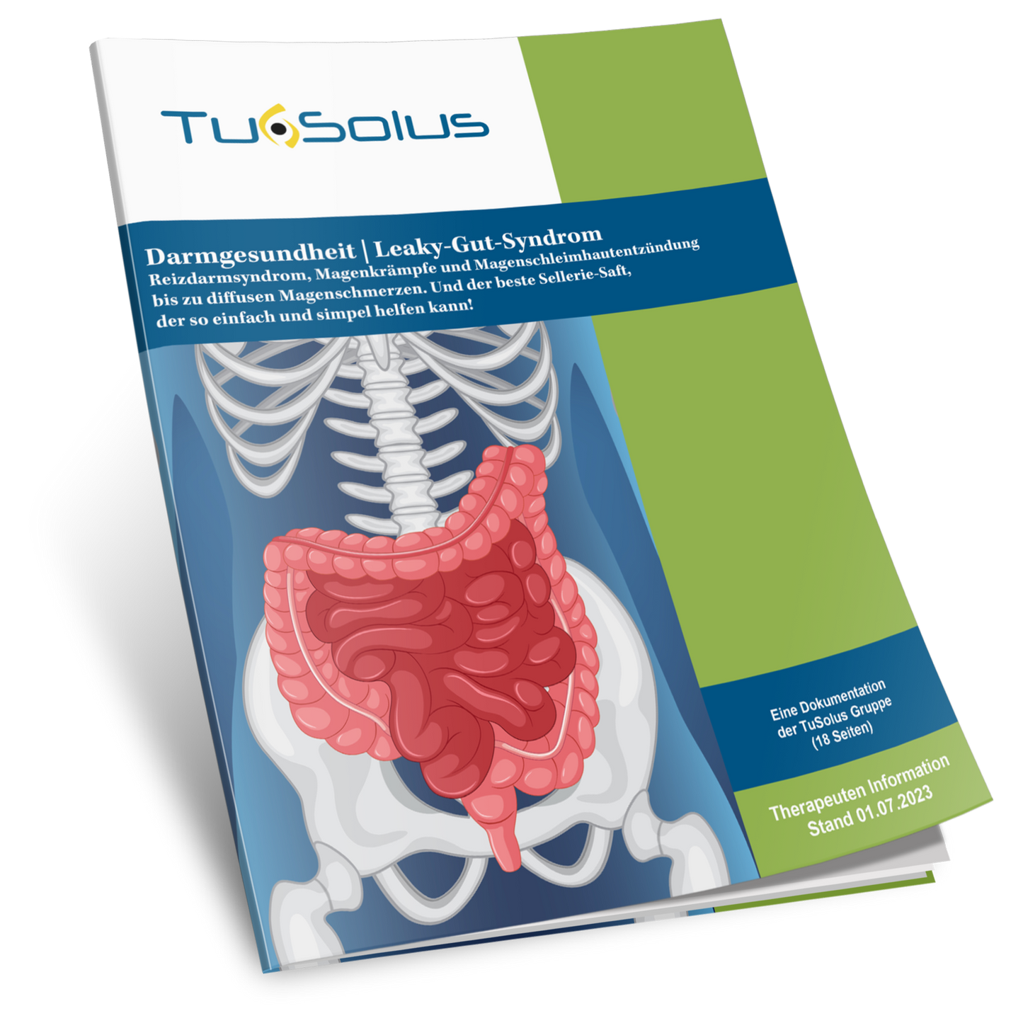 Salud intestinal - Información para terapeutas