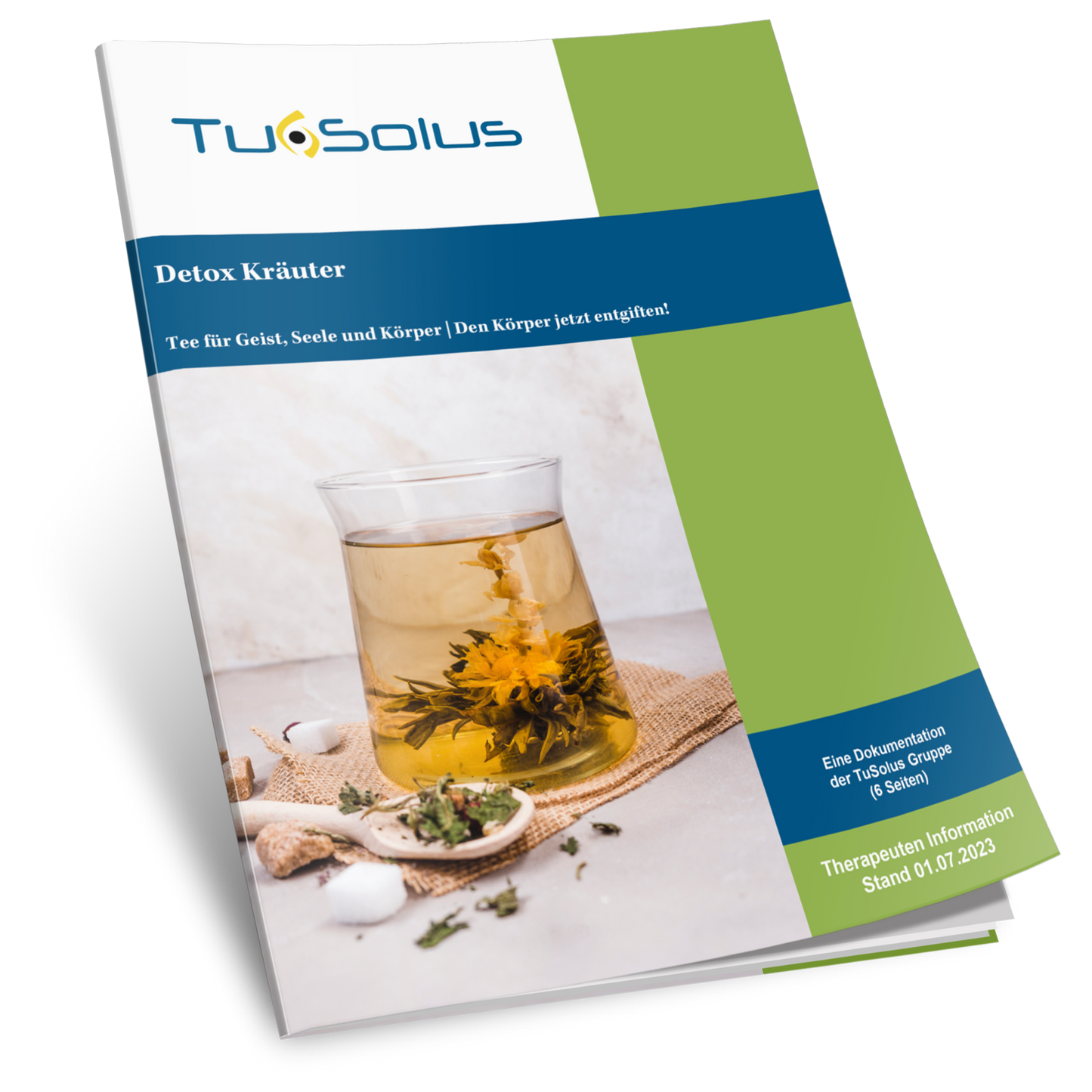 Té de hierbas desintoxicante - Información para terapeutas