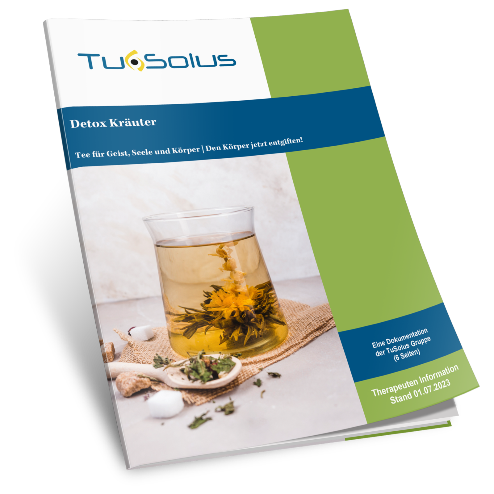 Té de hierbas desintoxicante - Información para terapeutas