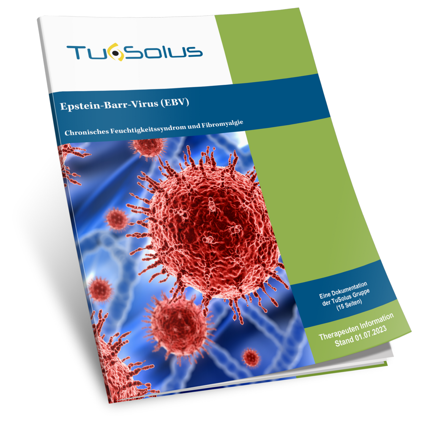 Virus de Epstein-Barr - Información para terapeutas