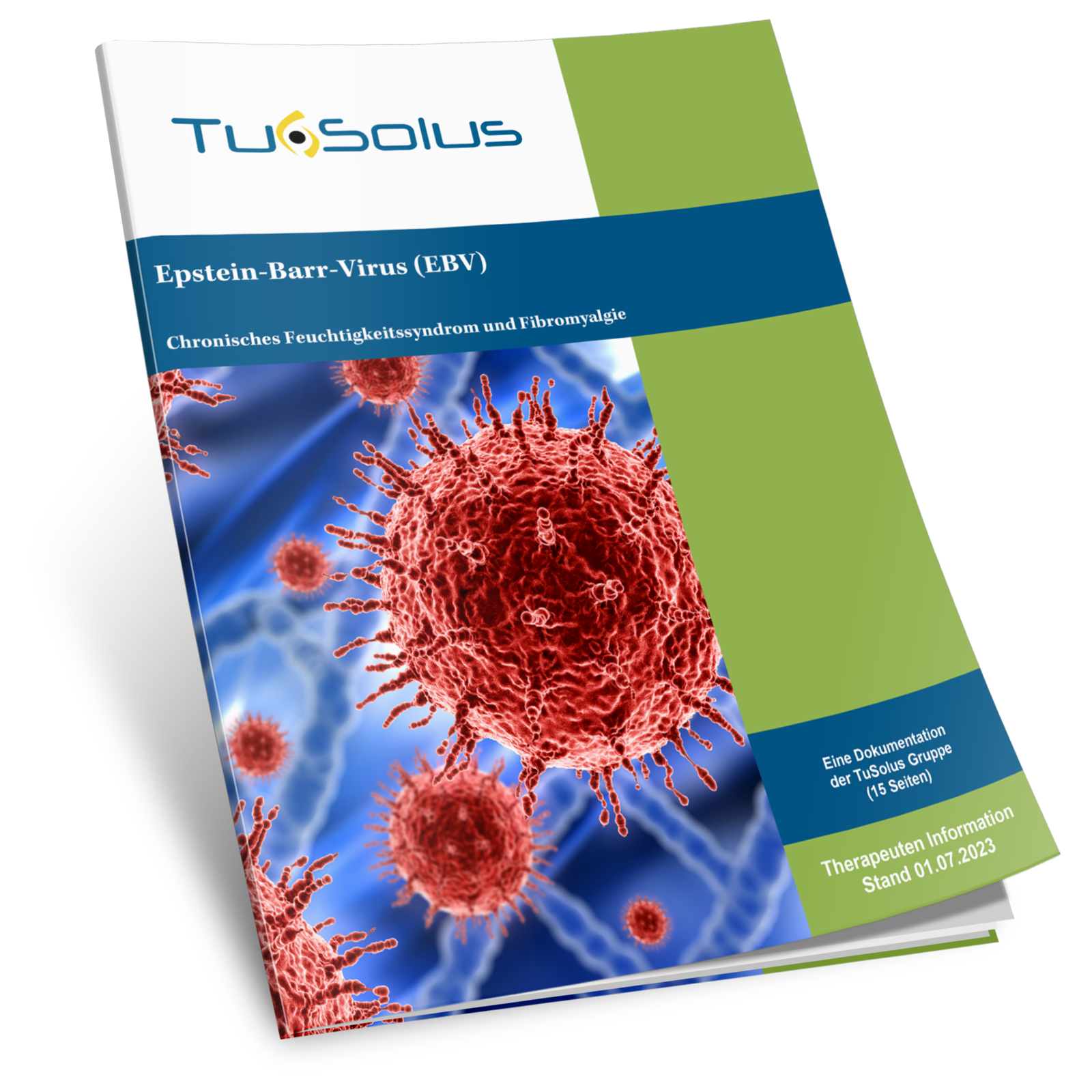 Virus de Epstein-Barr - Información para terapeutas