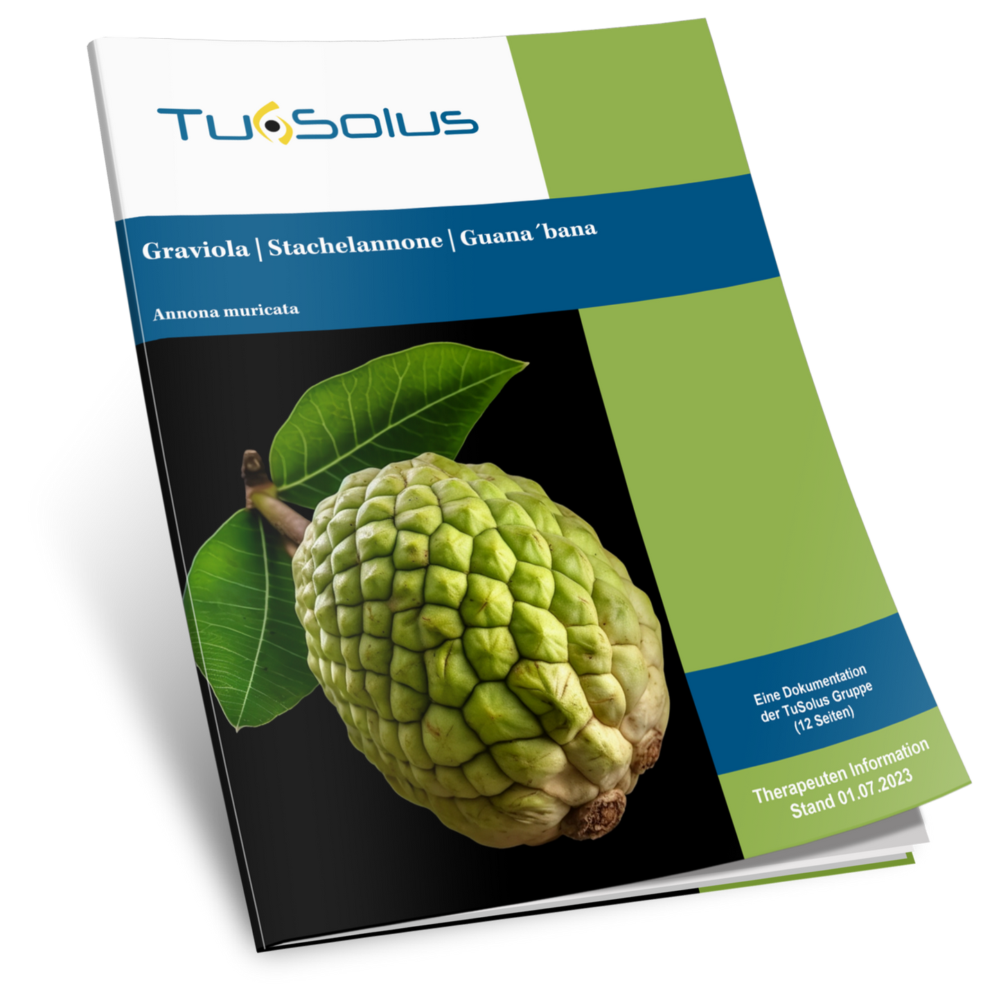 Graviola / anona espinosa - información para terapeutas