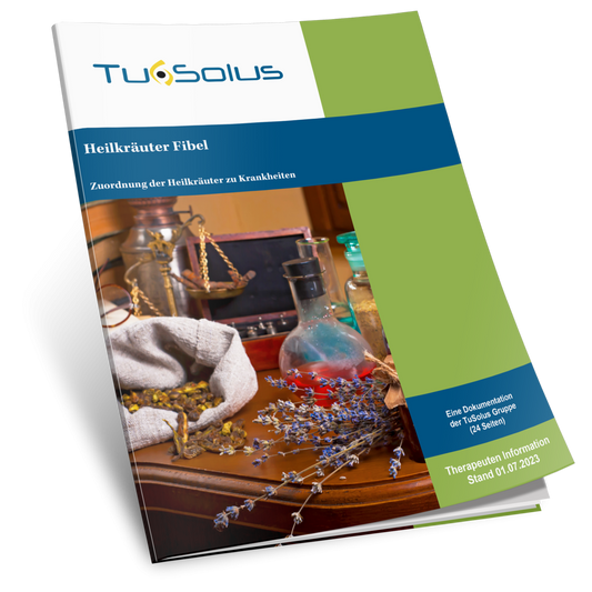 Asignación de hierbas medicinales a enfermedades - Información para terapeutas