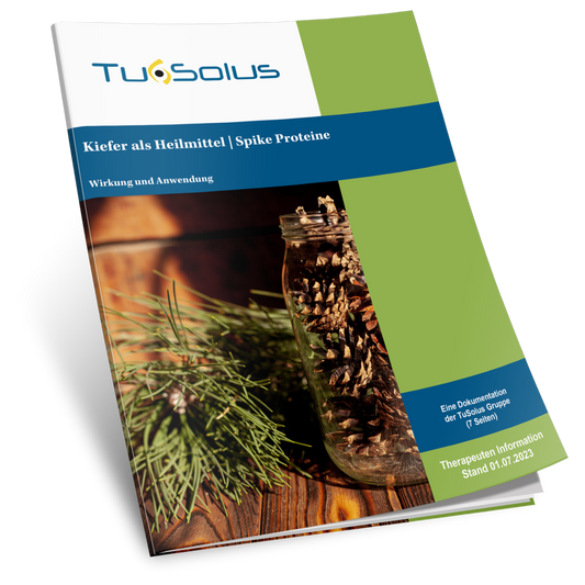 La mandíbula como remedio: información para terapeutas