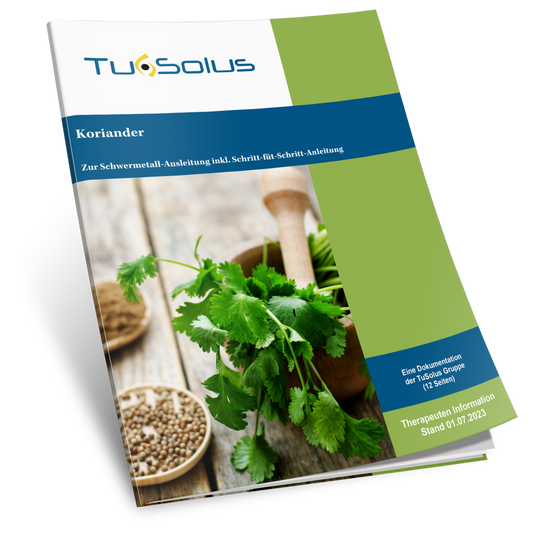 Cilantro - Información para terapeutas