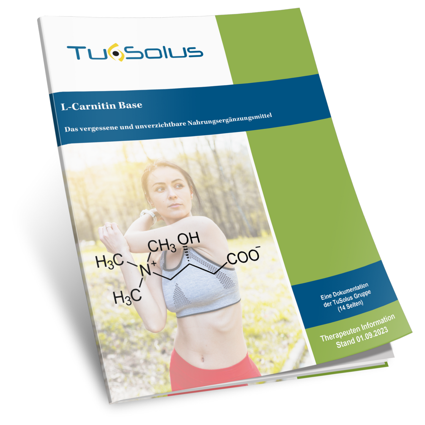 L-Carnitina - Información para terapeutas