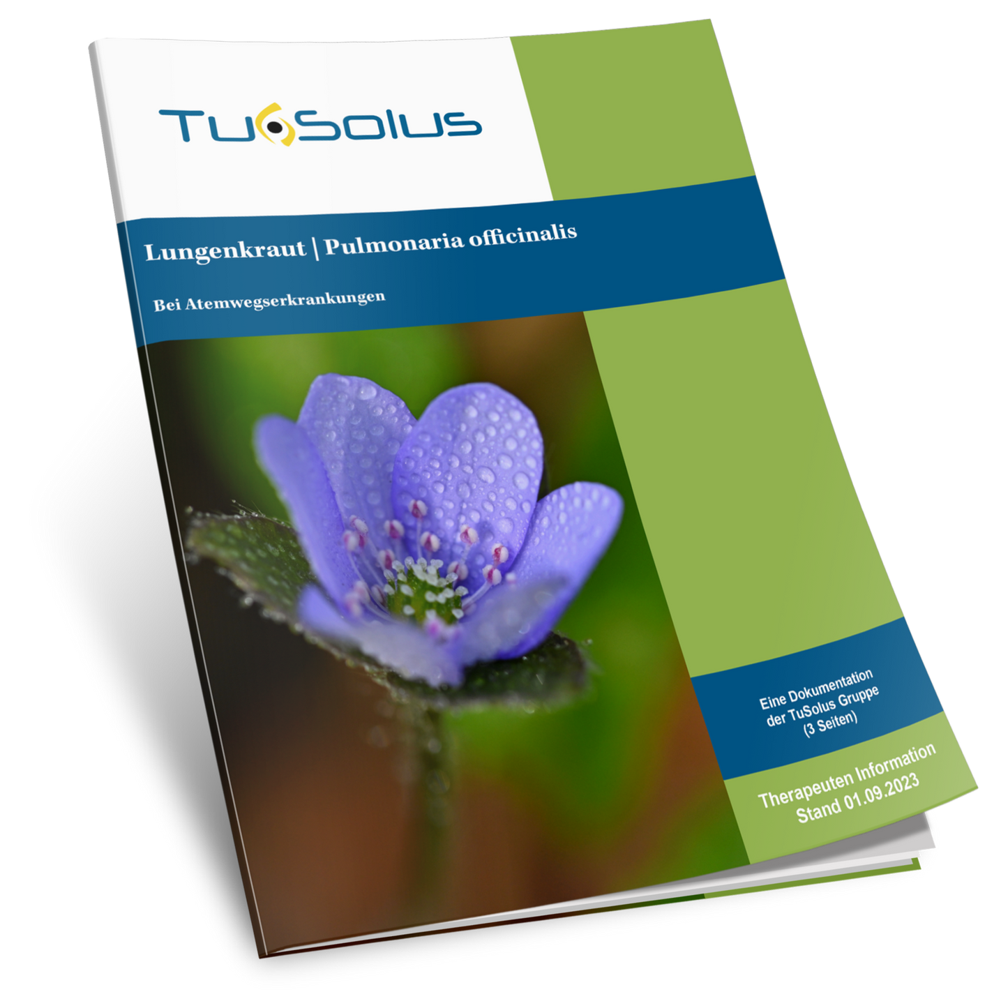 Pulmonaria - Información para terapeutas